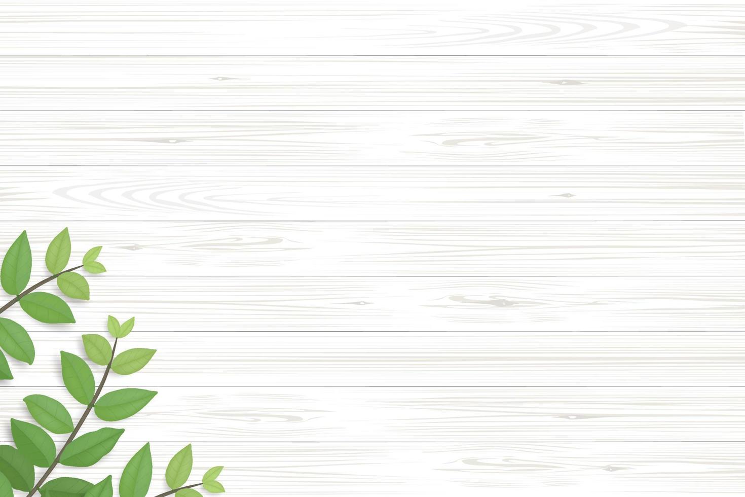 Wood texture background with green leaves.  Vector illustration.