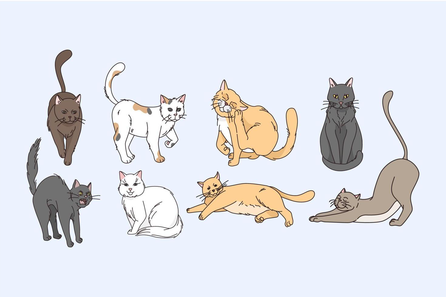 Variety of cats animals concept. Set of grey red white and brown cats stretching sitting lying relaxing and enjoying life vector illustration