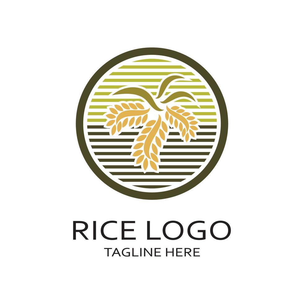 arrozal planta logotipo, arroz grano logo,arroz,natural orgánico la agricultura, para negocio,empresa,agricultura,producto,granja tienda,agrícola equipo,arroz almacén, con moderno minimalista vector