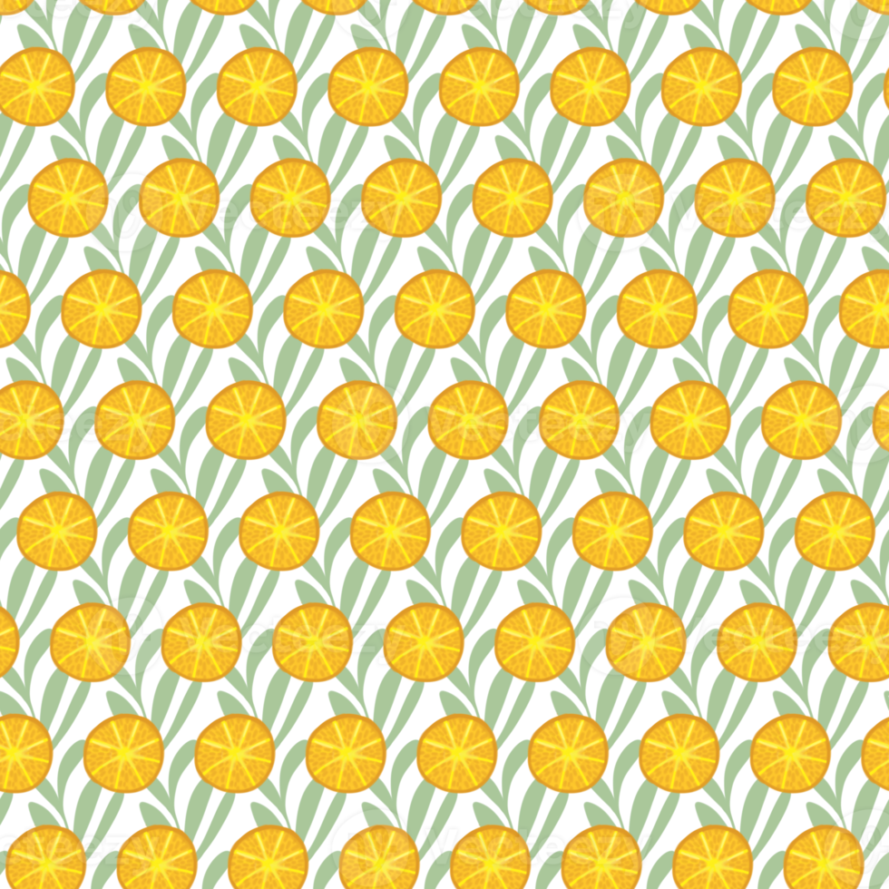 Slice orange pattern with green leaves. png