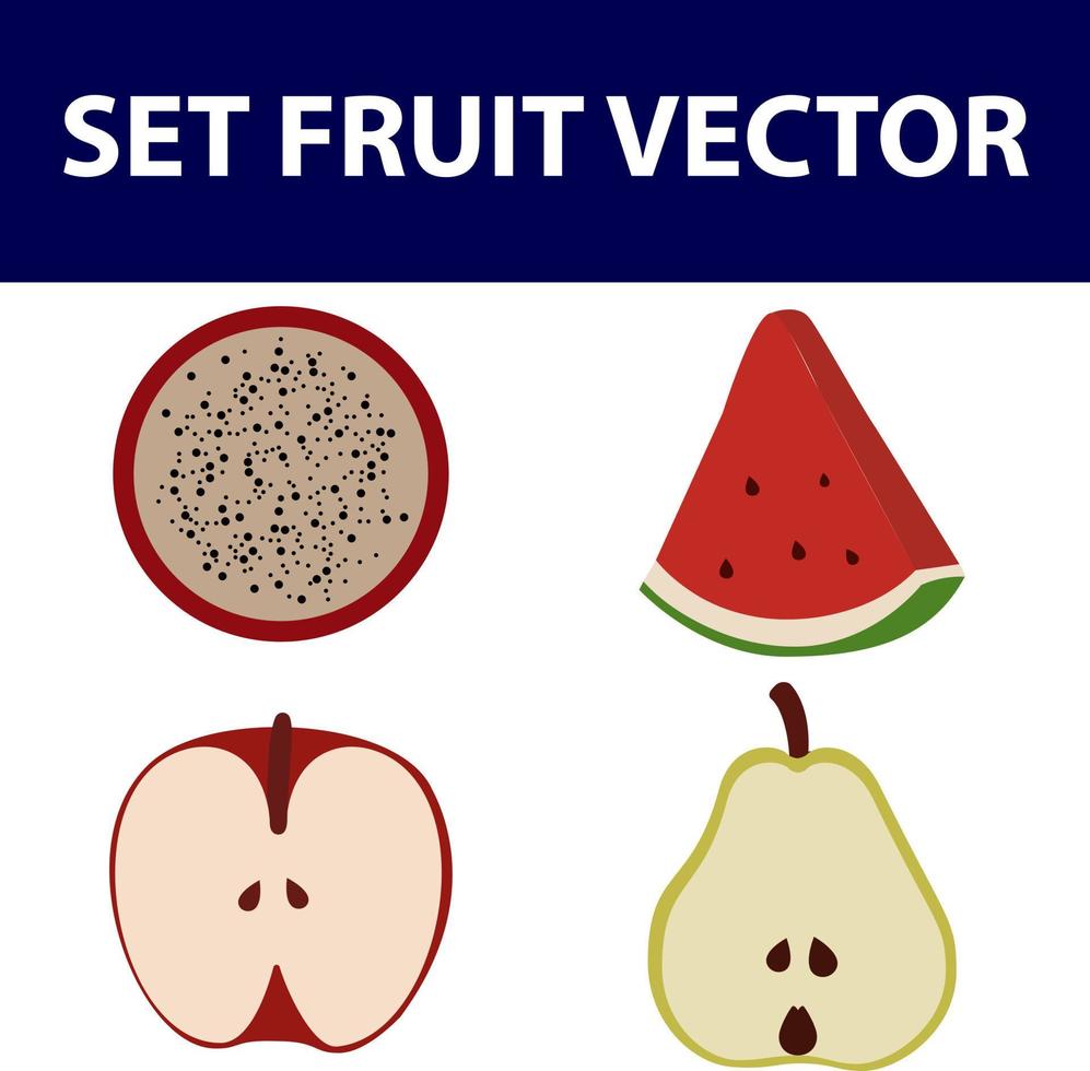 Set of round summer fruit slices vector