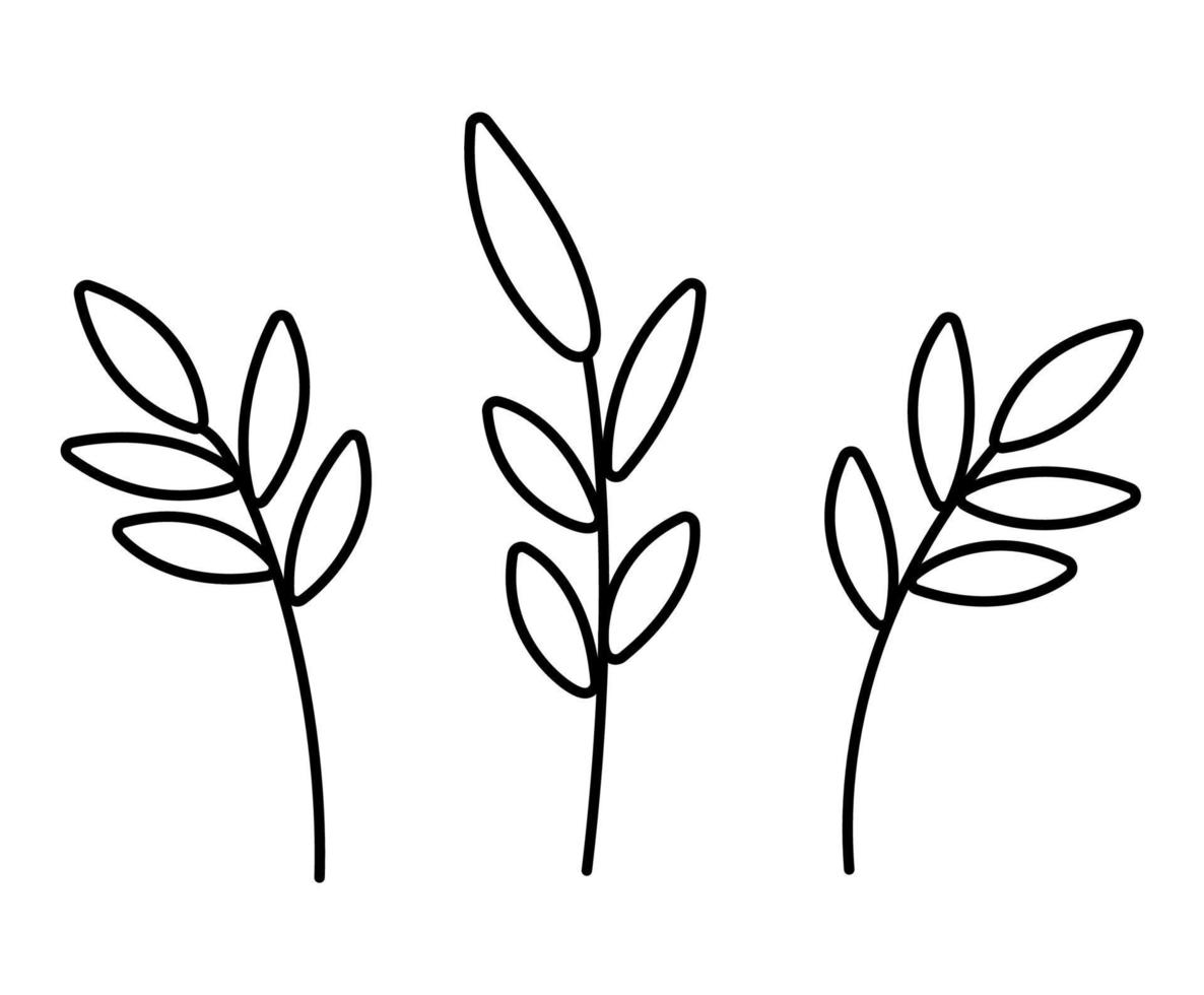 Vector black and white leaves. Outline twigs picture. Funny plant illustration or coloring page isolated on white background