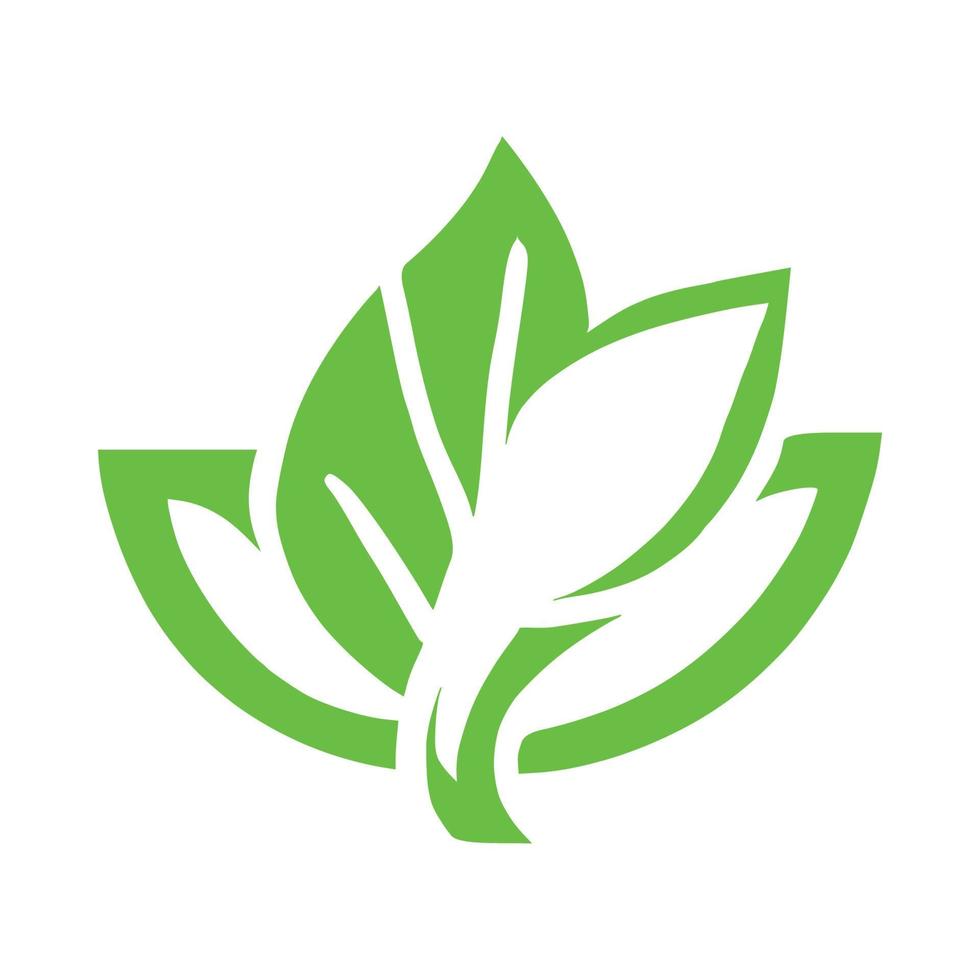 Leaf Icon Logo vector