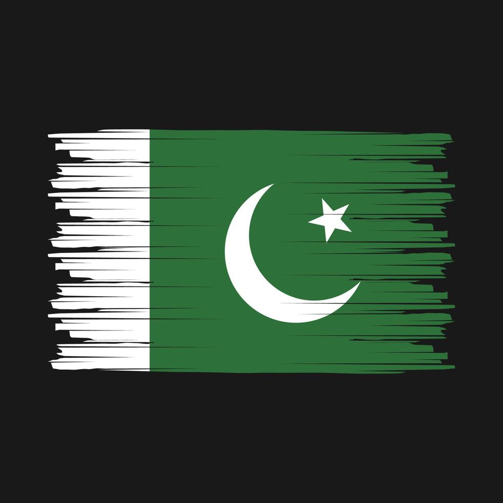 cepillo de bandera de pakistán vector