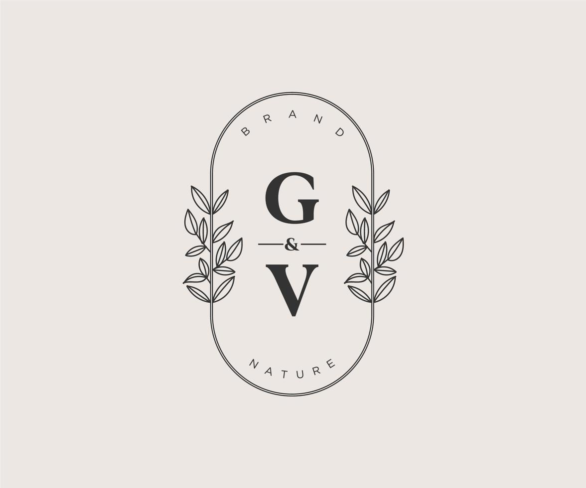 initial GV letters Beautiful floral feminine editable premade monoline logo suitable for spa salon skin hair beauty boutique and cosmetic company. vector