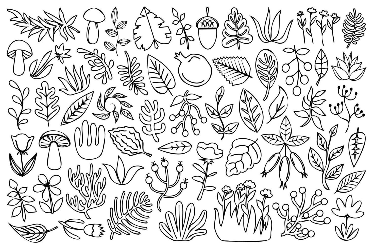 Line art natural design elements collection. Decorative nature design elements set. Outline grass, mushrooms, plants, flowers, leaves, berries and other wild natural elements. vector