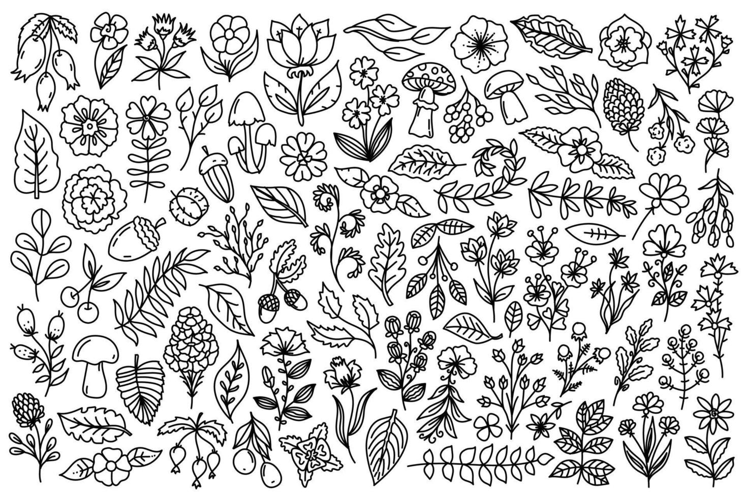 línea Arte naturaleza elementos colocar. colección de bosque diseño elementos como hongos, plantas, hierbas, flores, sucursales, hojas, bellotas en línea Arte garabatear estilo. vector