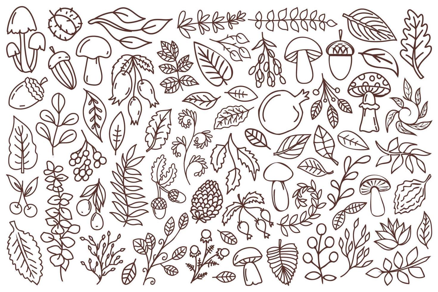 Line art nature design elements. Forest elements outline design set. Mushrooms, acorns, leaves, branches and other illustrations. vector