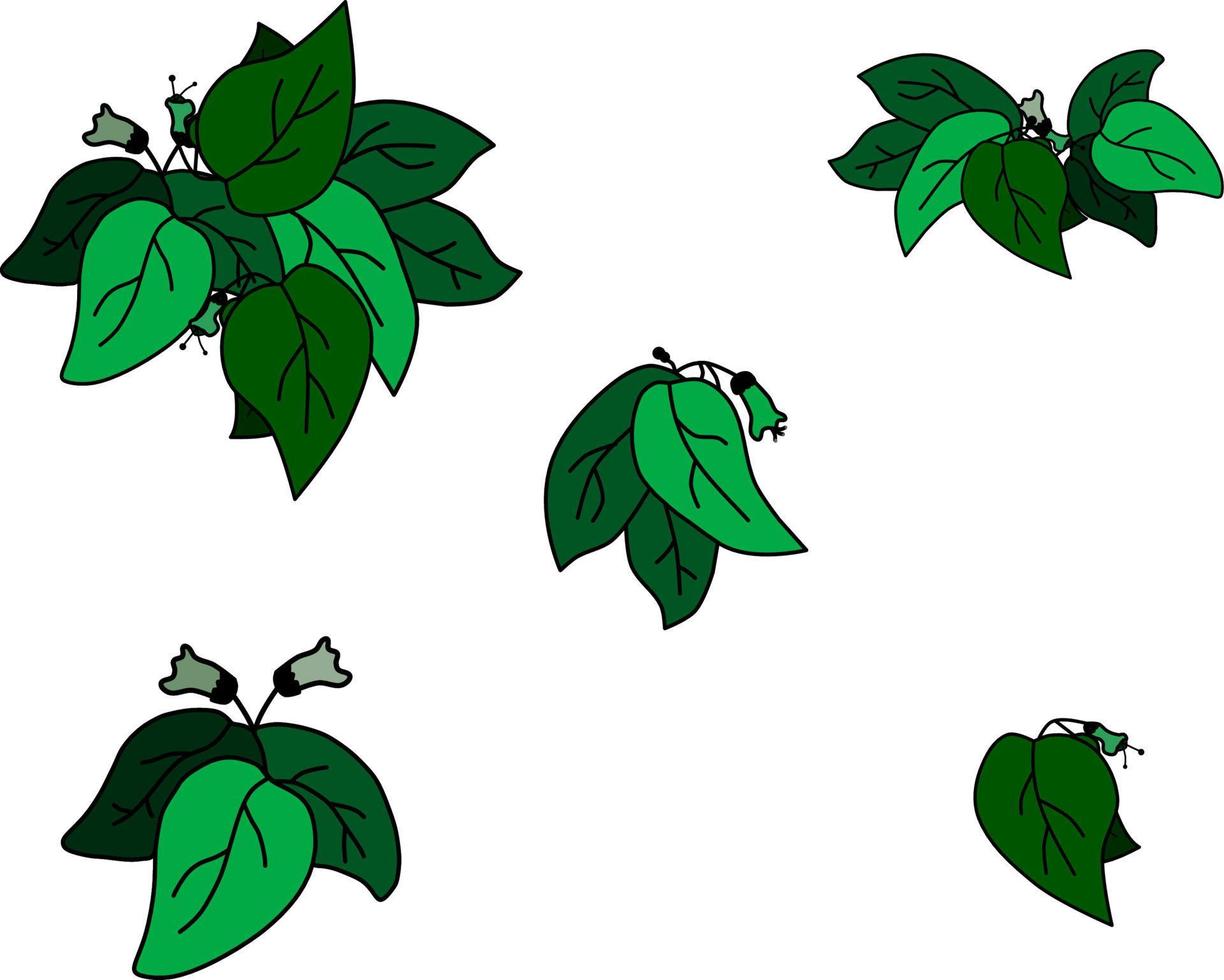 roses, plants, green leaves, flowers vector