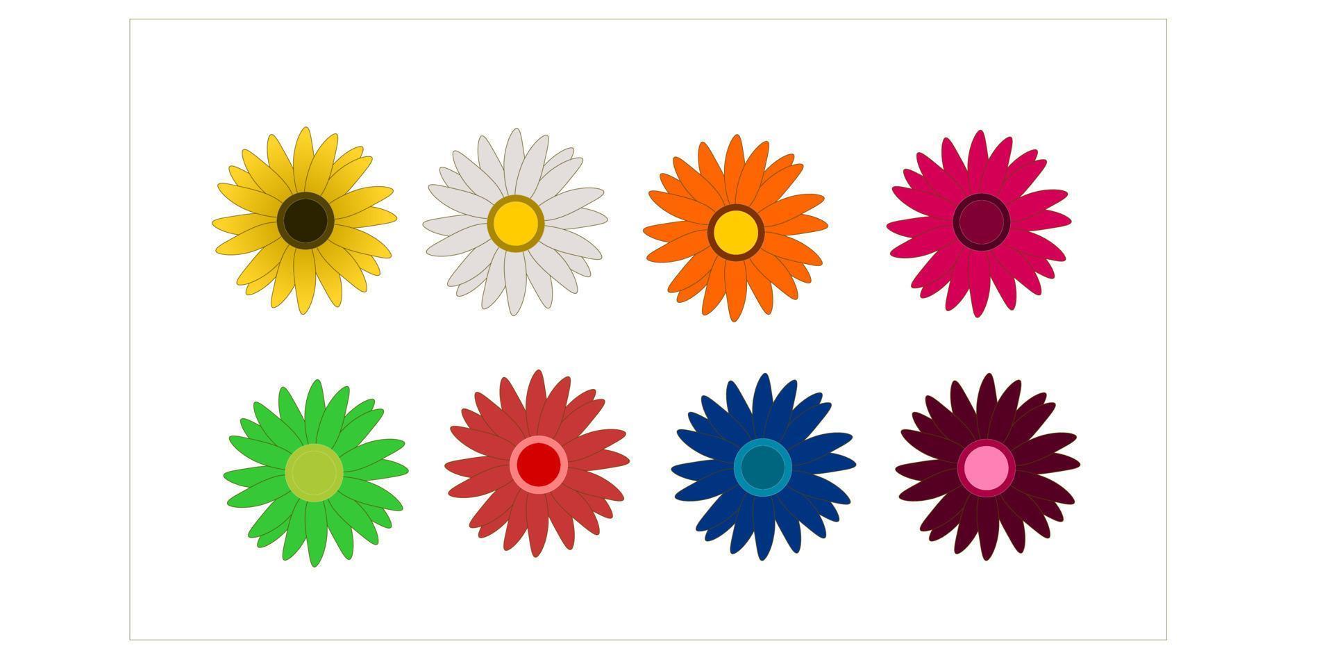 leaves, flowers, plants, daisies, maple leaves, monstera, maple vector