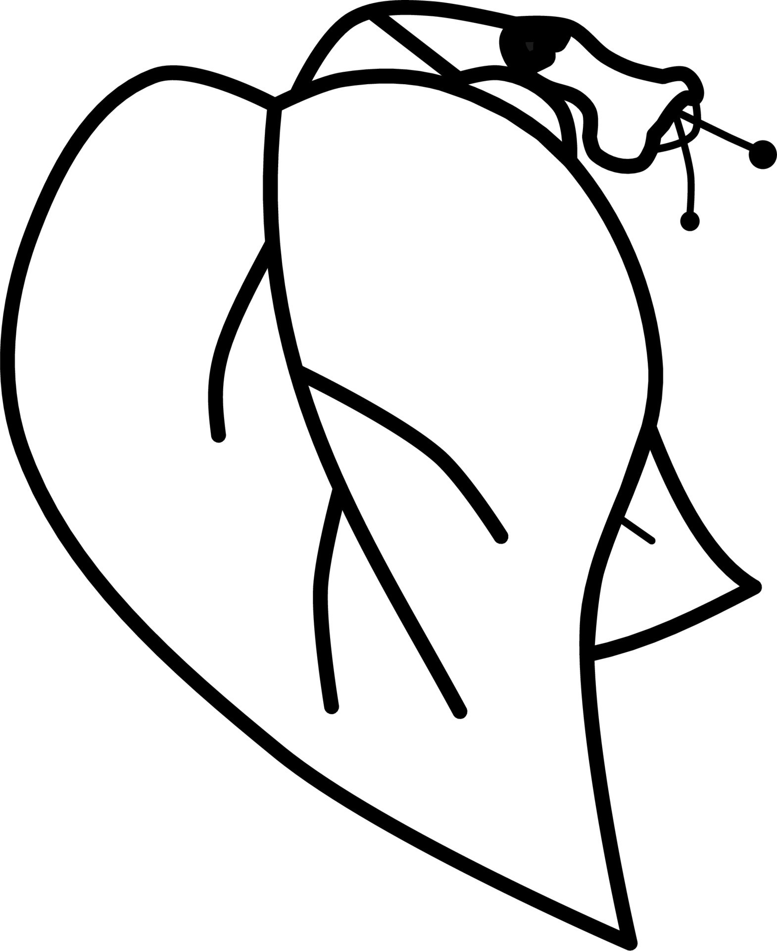 roses, plants, green leaves, flowers 20853256 Vector Art at Vecteezy