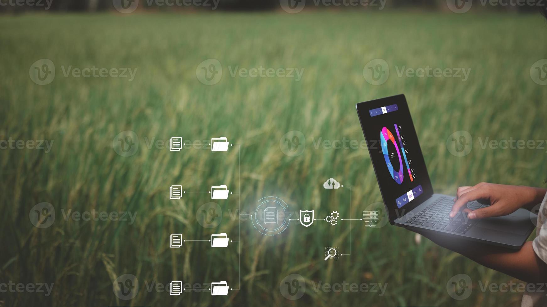 Smart farming agriculture concept. woman hands holding computer laptop on blurred rice field as background collecting and analysing data from crop, yield, harvesting. photo