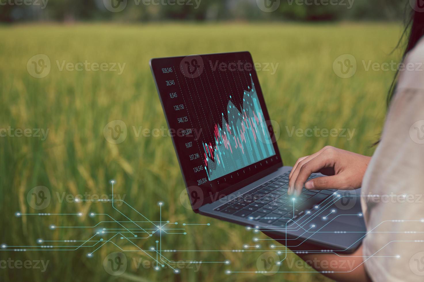 smart farming concept. a woman using computer laptop to collecting, analysing data from rice field for improving crop harvesting, increasing agricultural products. farming and technology concept. photo