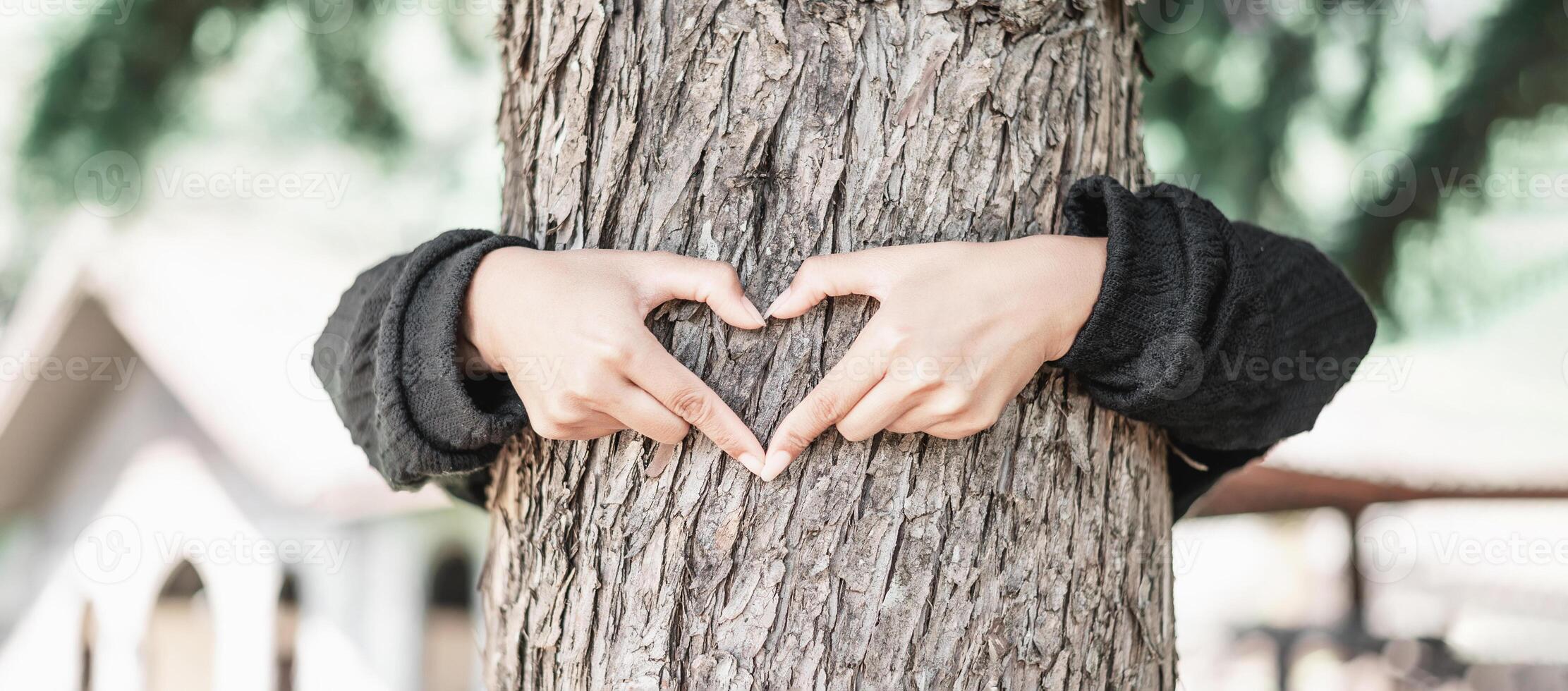 Young woman hug a tree in the forest and show a sign of heart and love for nature photo
