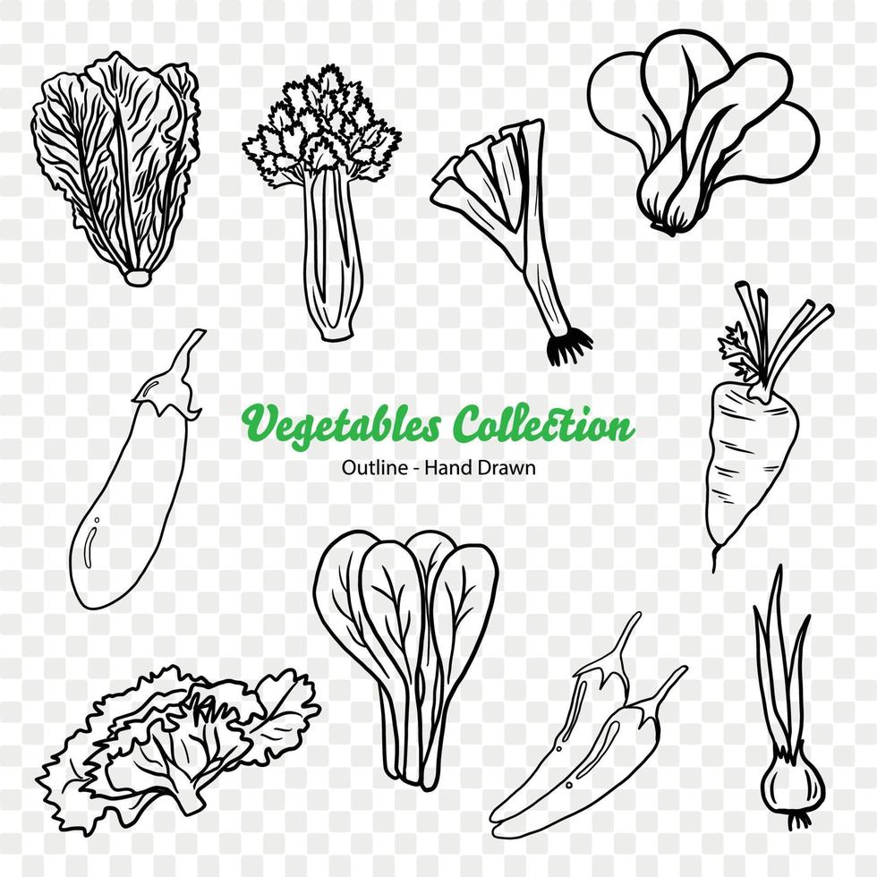 vegetables Vector Illustration, Agriculture plant, Salad ingredient, Vegetable farm, Vegan food, Organic food