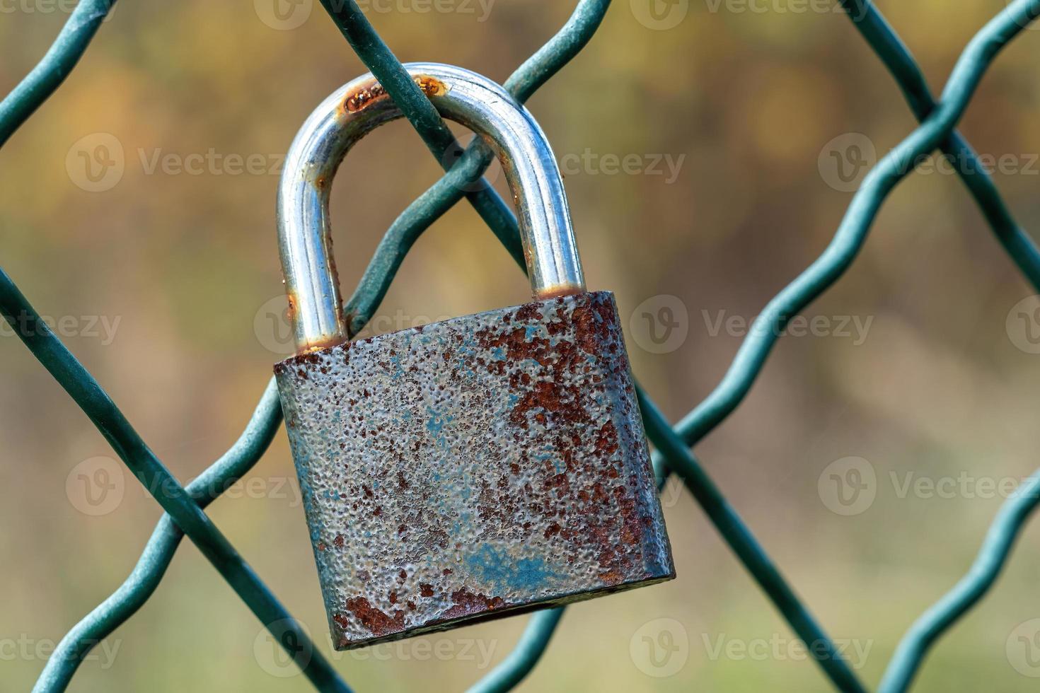 Lock as a symbol of love locked on the mesh photo