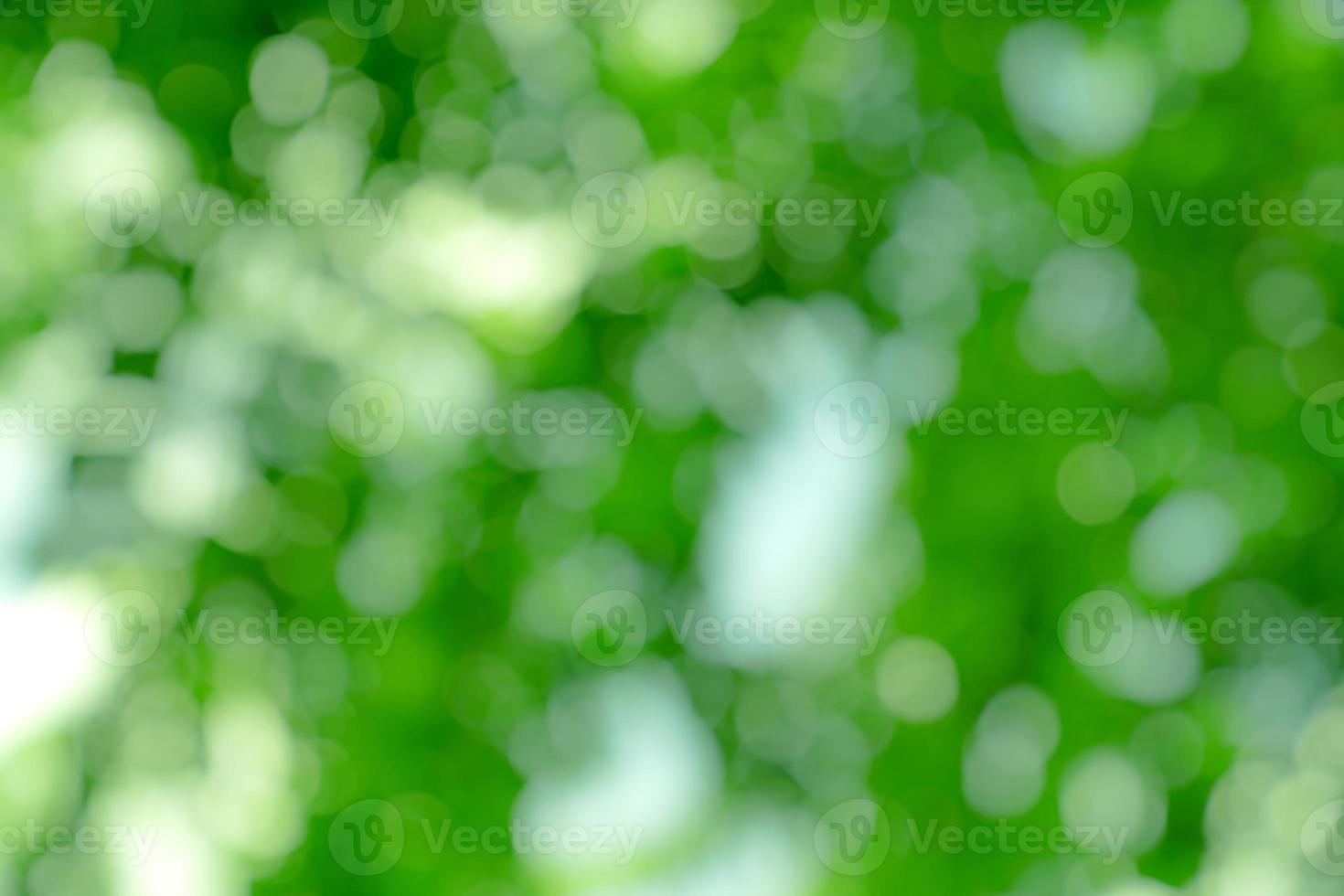 Bokeh de fondo abstracto verde natural, textura borrosa foto