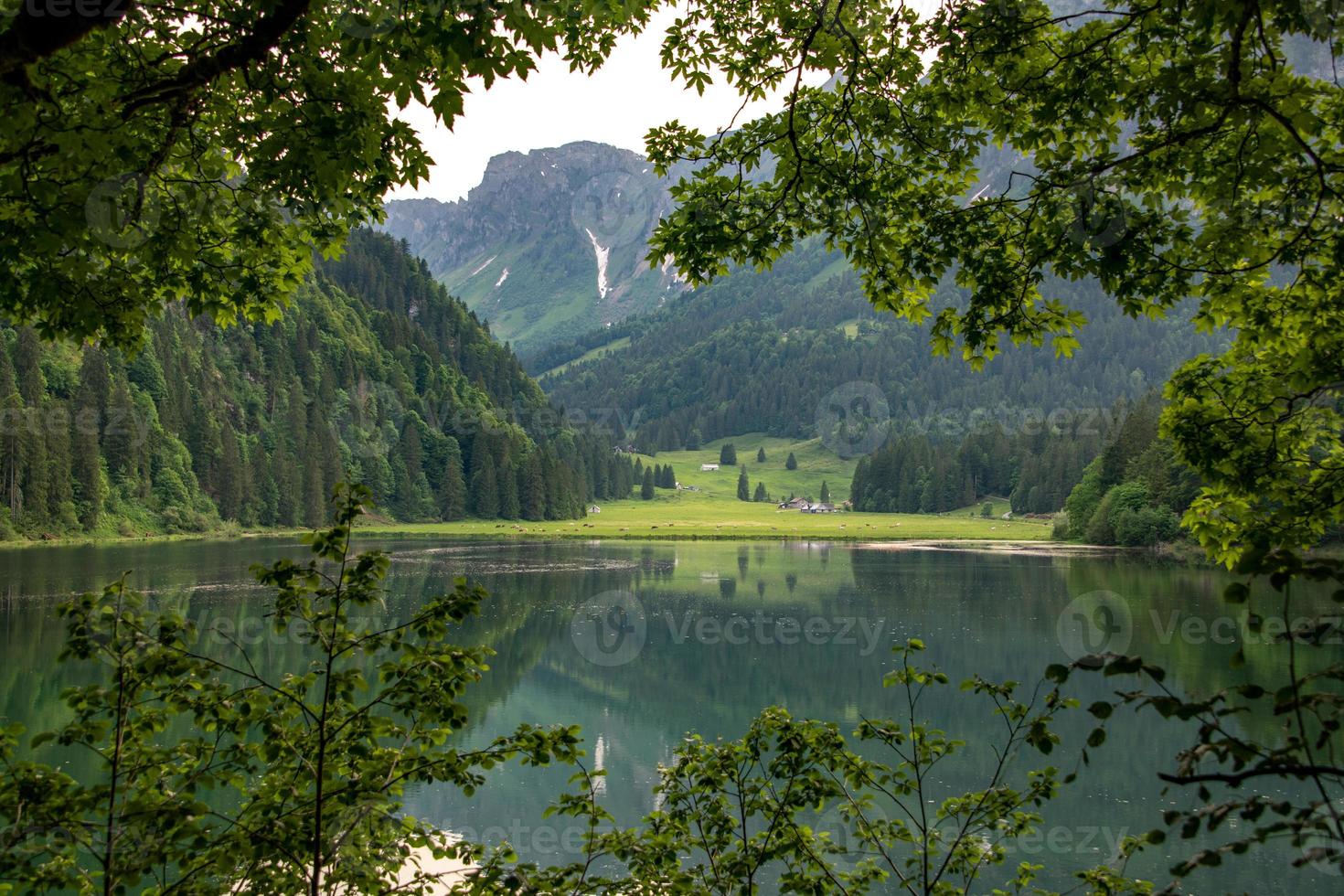 A lake landscape photographed through a frame on branches and bushes photo