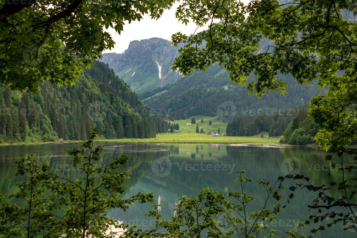 un lago paisaje fotografiado mediante un marco en ramas y arbustos foto