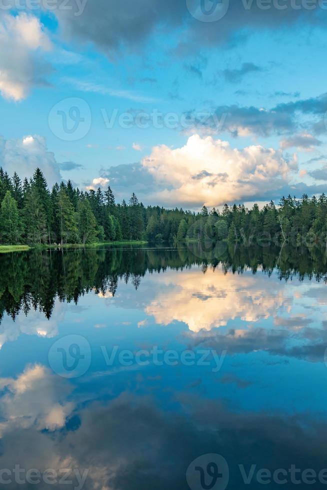 A forest that stands by the water and reflects itself in the water photo