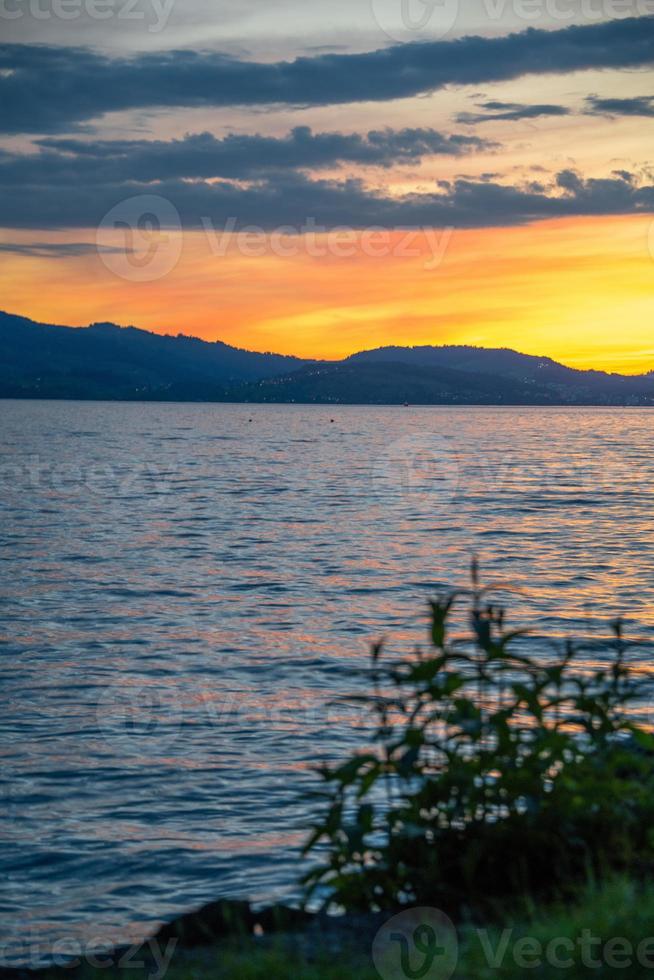 un puesta de sol en un lago en el primer plano es un planta foto