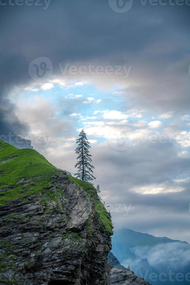 A lonely tree stands on a cliff under cloudy sky photo