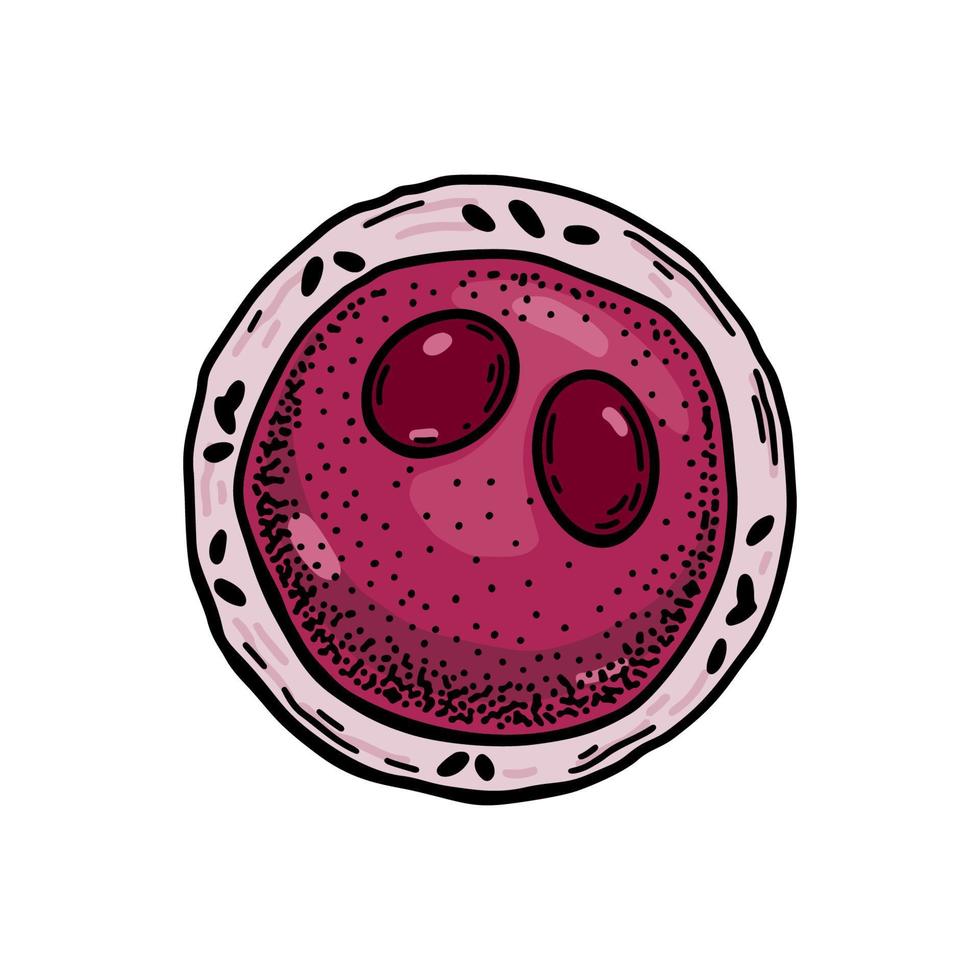 Myeloblast blood cell isolated on white background. Hand drawn scientific microbiology vector illustration in sketch style