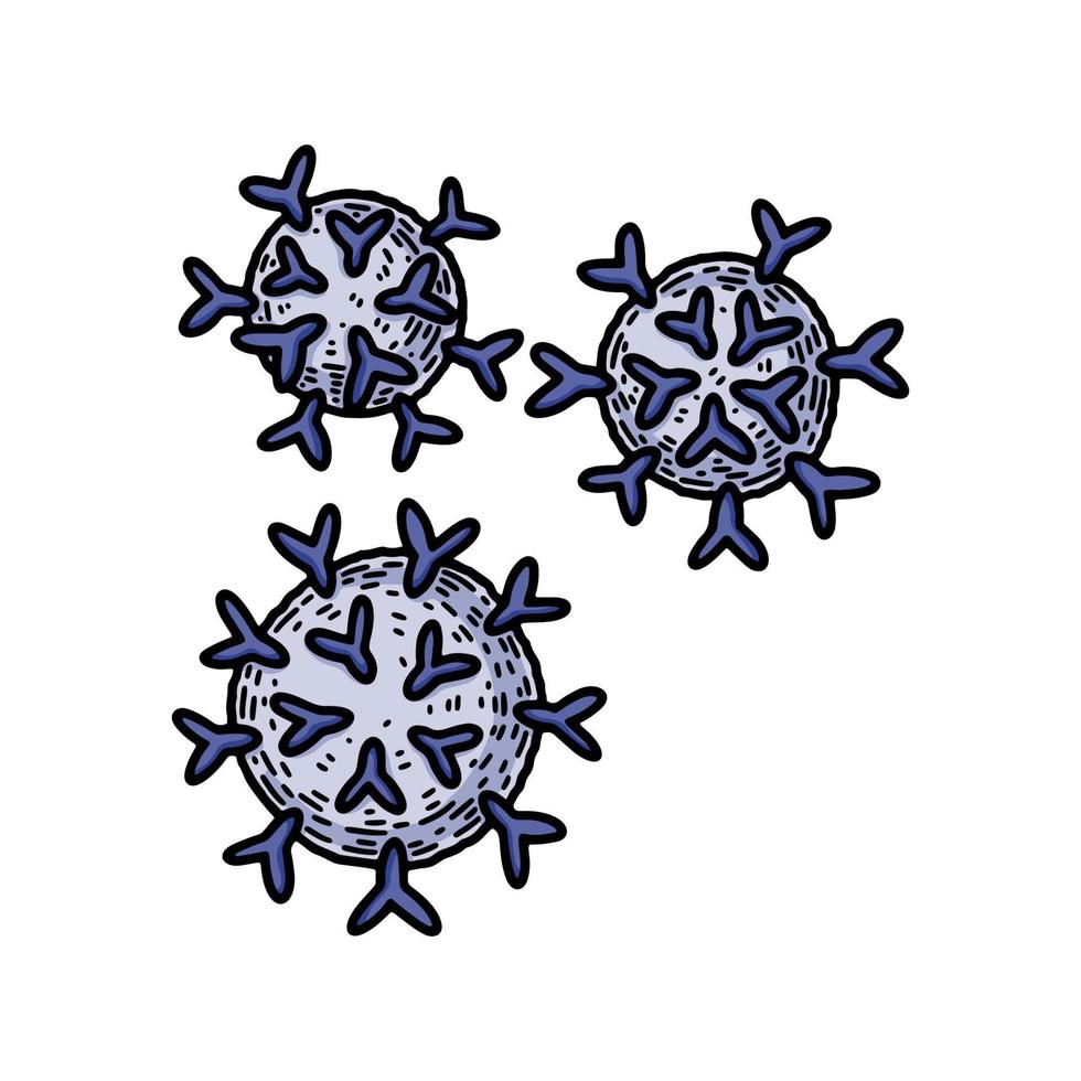 B-cells isolated on white background. Hand drawn scientific microbiology vector illustration in sketch style. Adaptive immune system