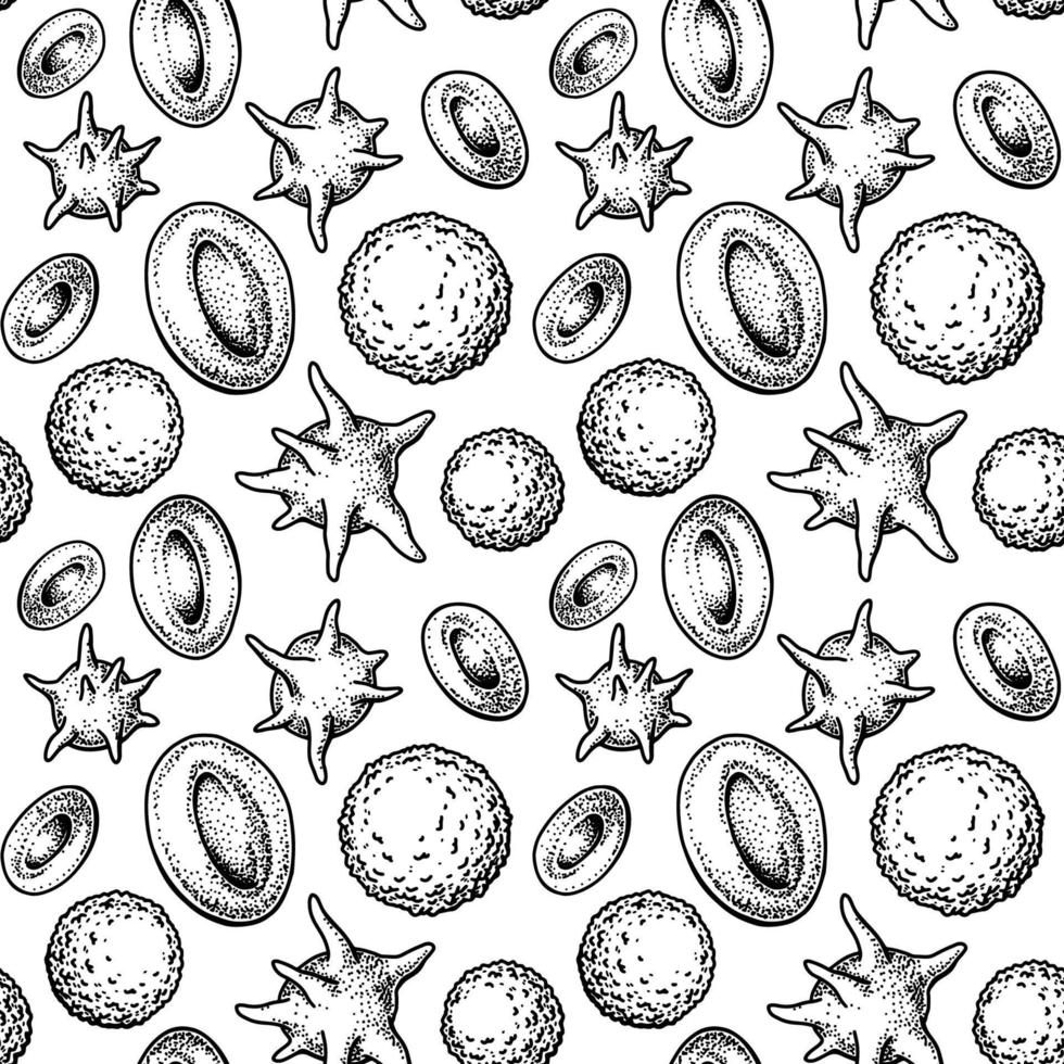 Blood cells seamless pattern. Hand drawn erythrocytes, leukocytes and platelet. Scientific biology illustration in sketch style vector