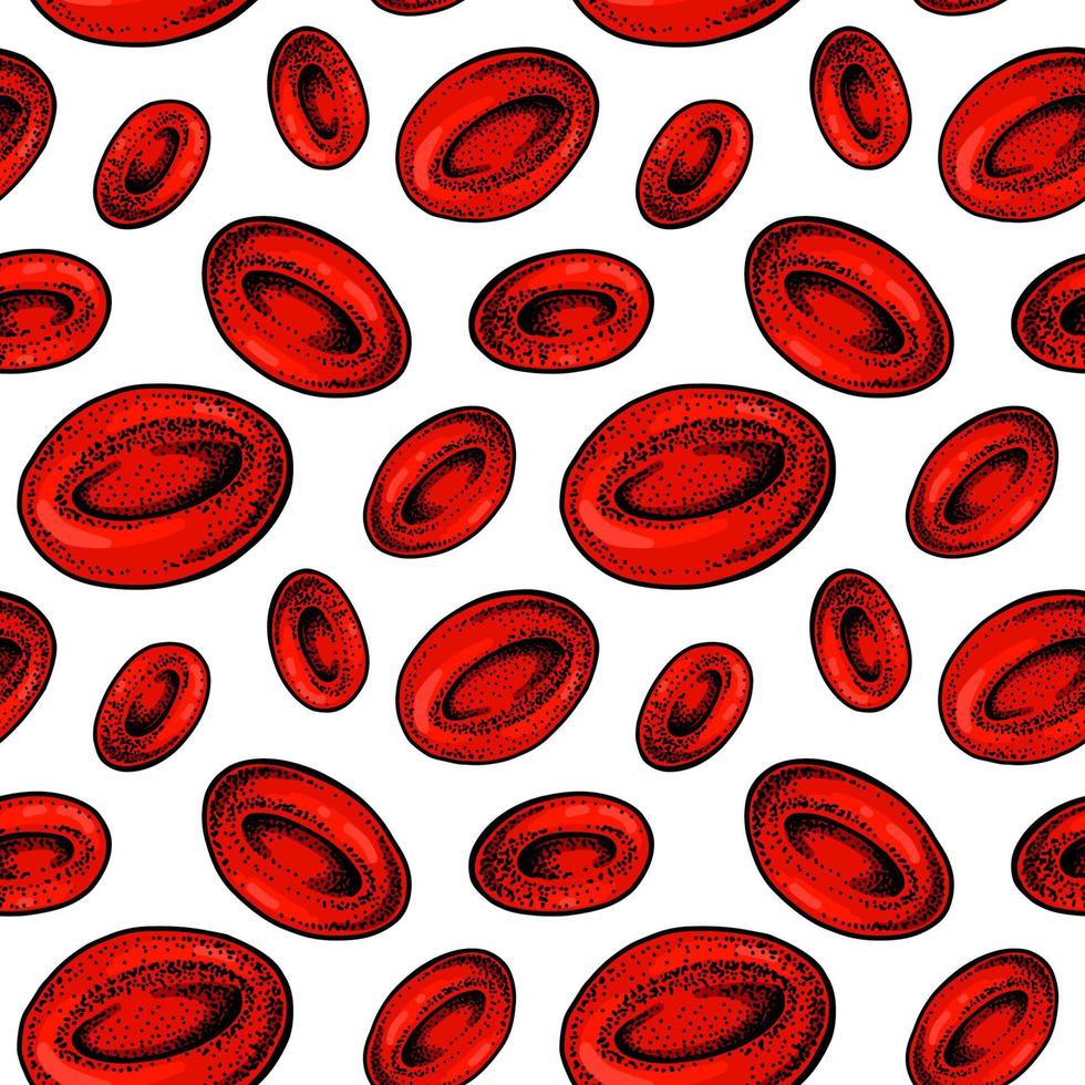 rojo sangre células sin costura modelo. mano dibujado eritrocitos científico biología ilustración en bosquejo estilo vector