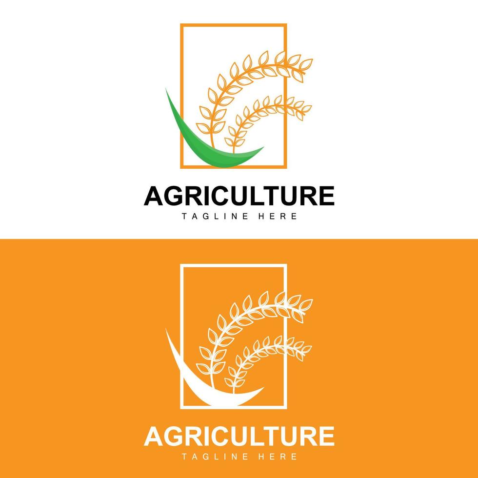 Rice Logo, Agriculture Design, Vector Wheat Rice Icon Template Illustration