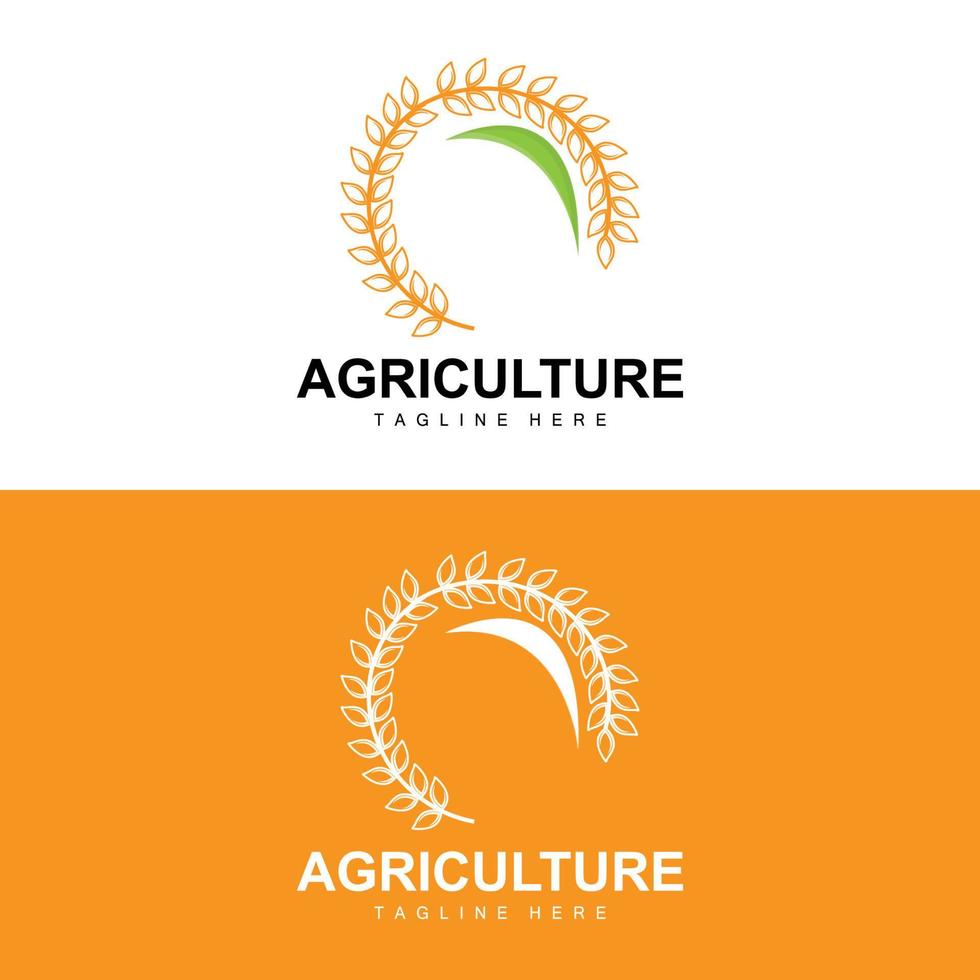 Rice Logo, Agriculture Design, Vector Wheat Rice Icon Template Illustration