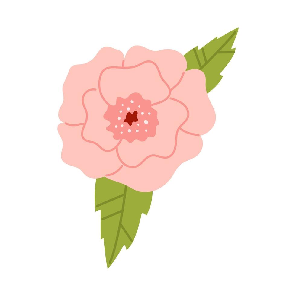 Vector delicate flower in soft pink color. Peony or rose in flat design. Elegant blossom flower with leaves.