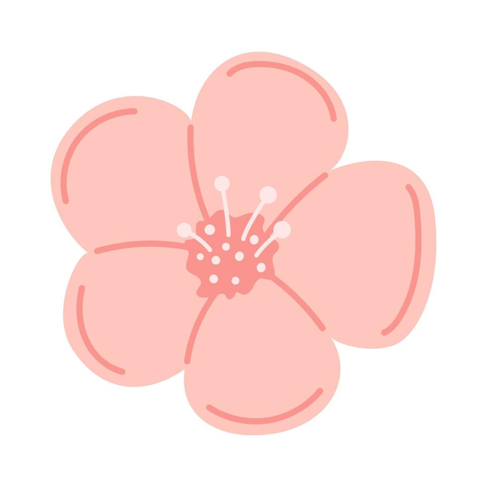 Vector soft pink flower with stamens. Elegance flower in flat design. Blooming flower in soft pink color. Spring and Summer.