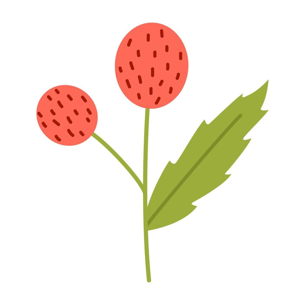 Vector illustration of red round flowers in flat design. Abstract barbed wild flowers. Plant with circle flowers in red color and green leaf. Spring botanical illustration.