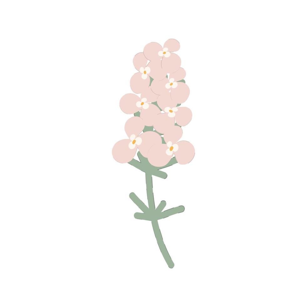 Abstract image of a phlox flower in trendy pale shades. Sticker. Icon. Isolate. Hello spring. Vector