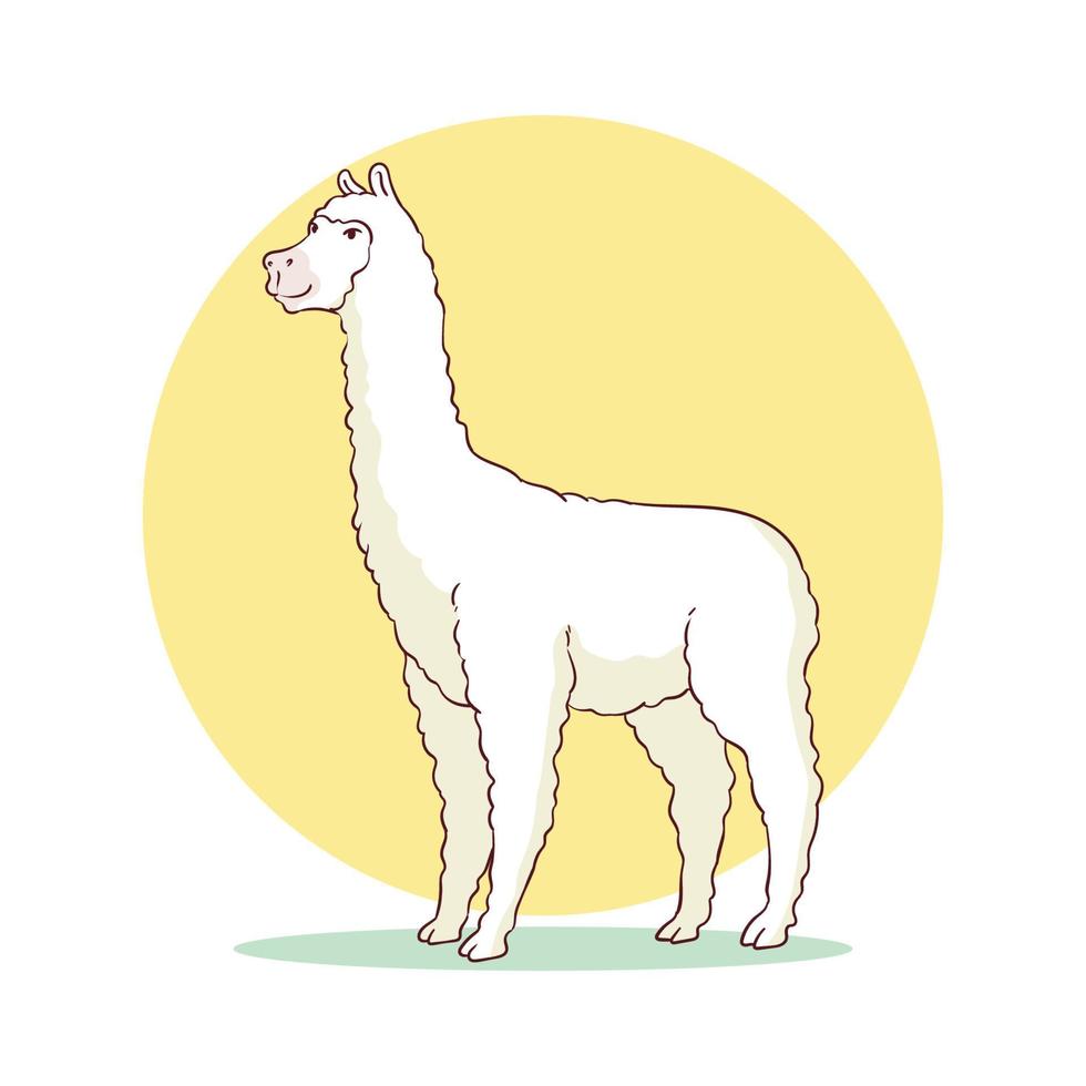 hand drawn llama animal vector