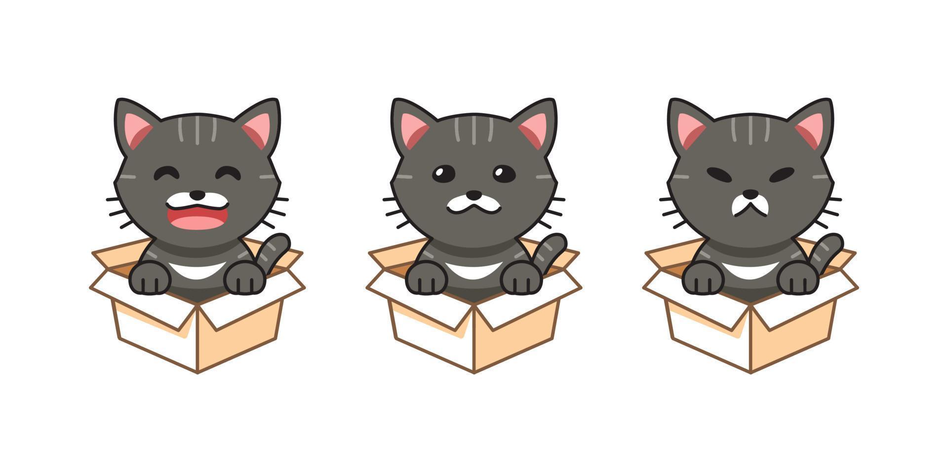 Vector cartoon illustration set of gray tabby cat showing different emotions in cardboard boxes