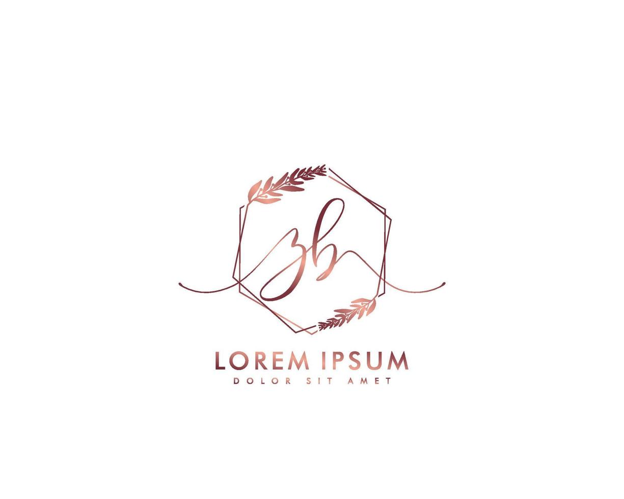 Initial letter ZB Feminine logo beauty monogram and elegant logo design, handwriting logo of initial signature, wedding, fashion, floral and botanical with creative template vector