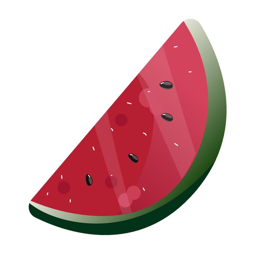 Color watermelon slice isolated on white background. vector illustration.