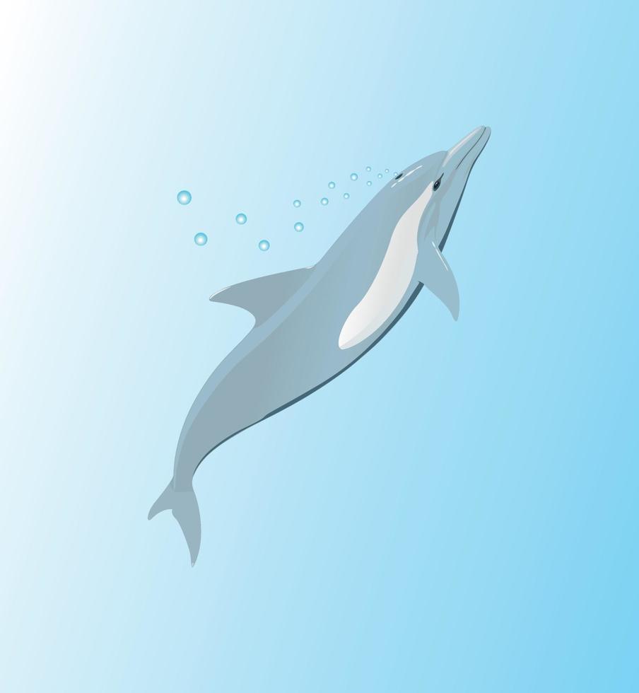 The dolphin floats in the top sheet of water. A vector illustration