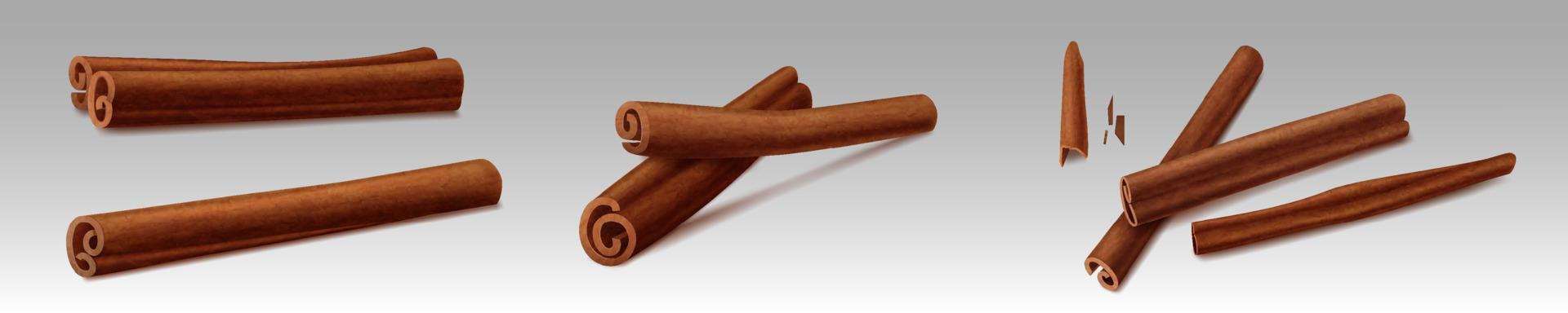 Cinnamon sticks, brown indian spices vector