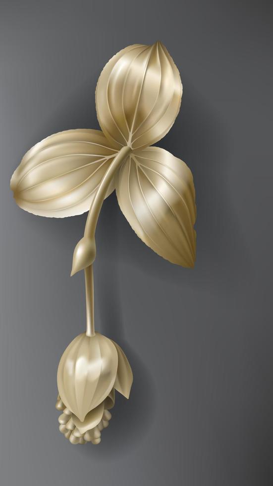 Tropical gold medinilla flower on dark black vector