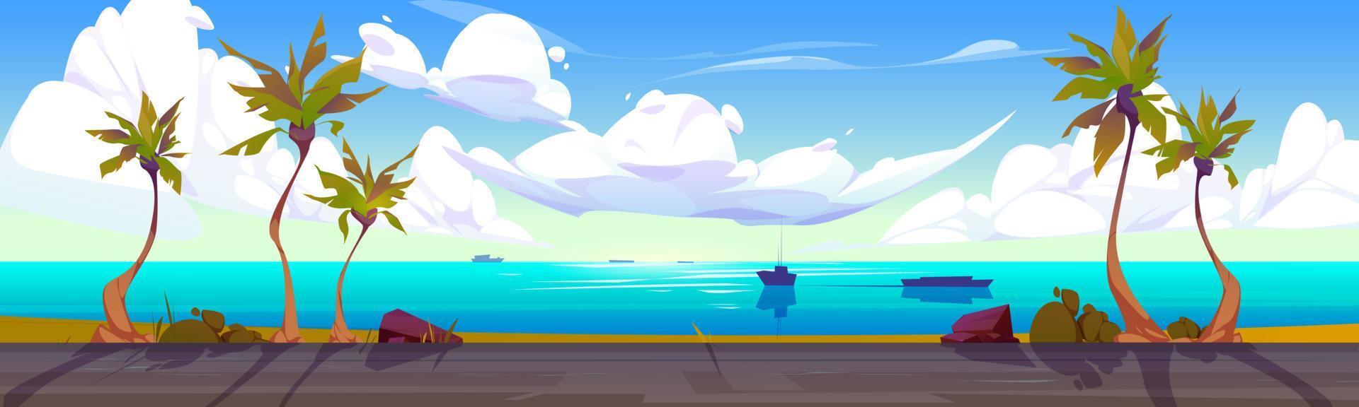 Summer tropical background with palm and road vector