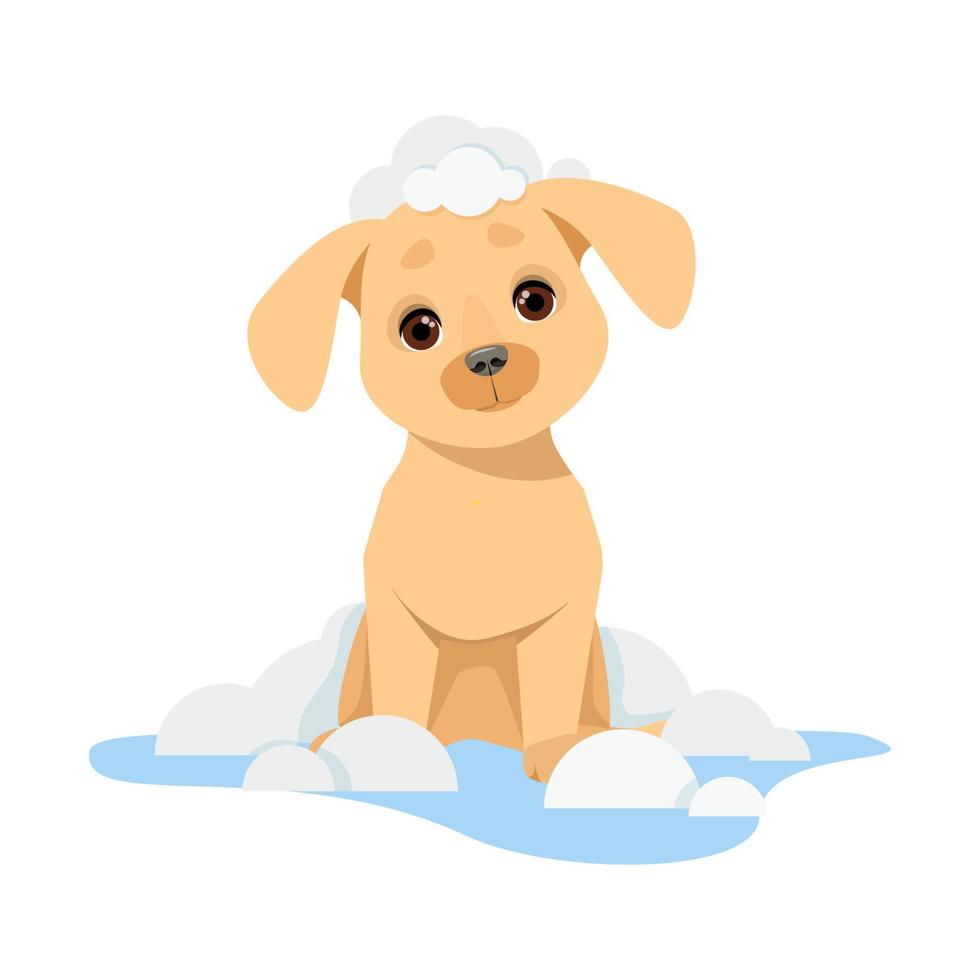 linda pequeño perrito con agua y jabón burbujas vector