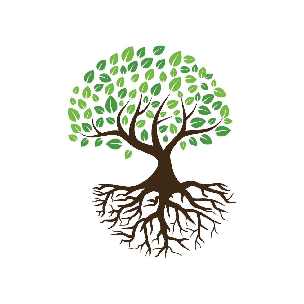 Logos of green Tree leaf ecology vector