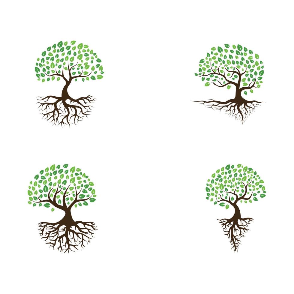Logos of green Tree leaf ecology vector
