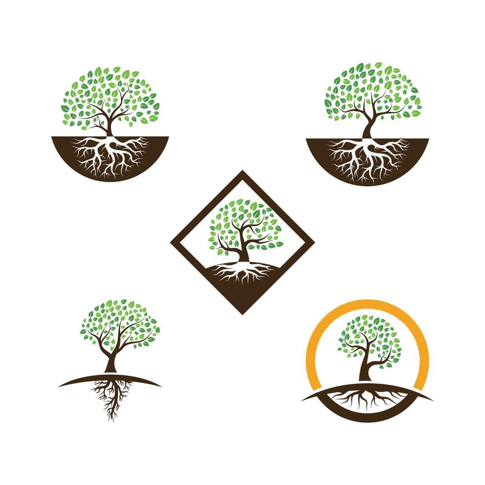 Logos of green Tree leaf ecology vector