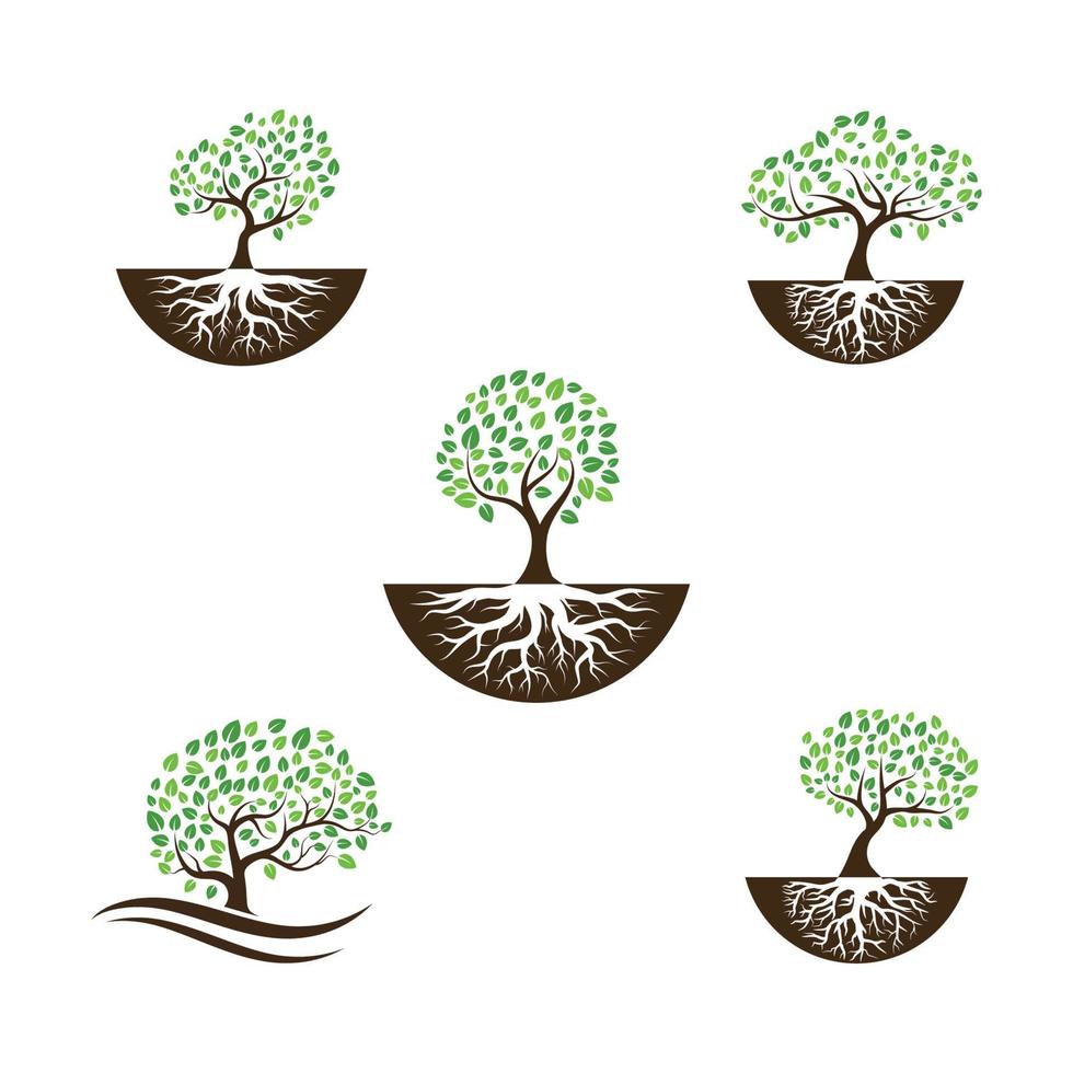 Logos of green Tree leaf ecology vector