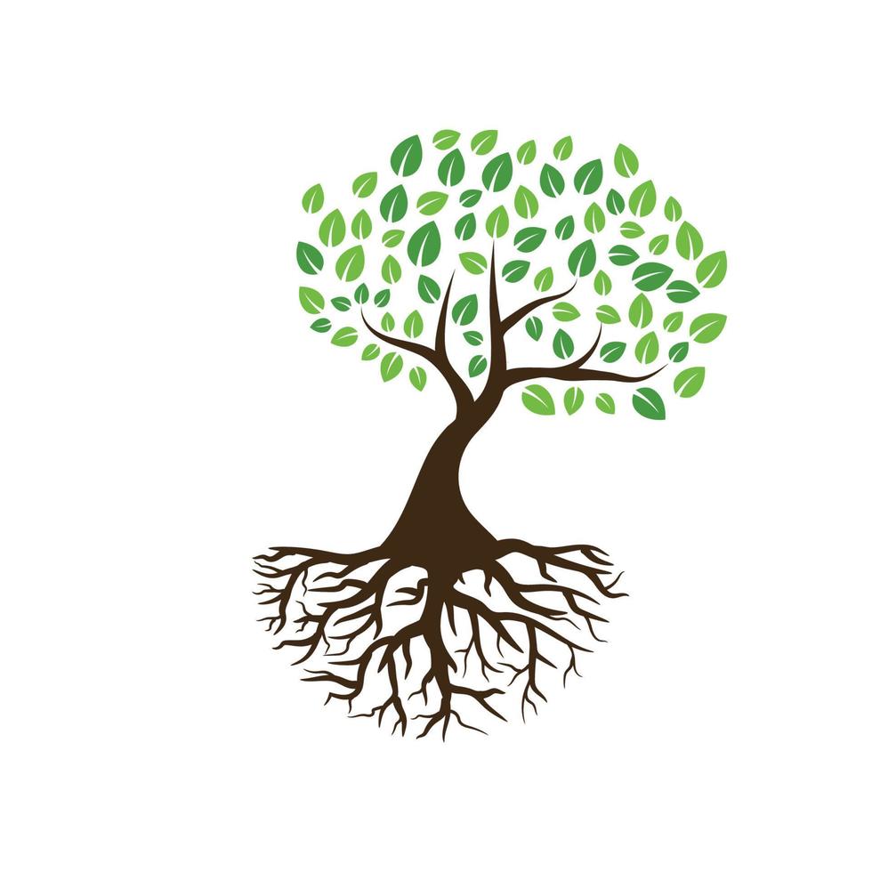 logotipos de la ecología de la hoja del árbol verde vector